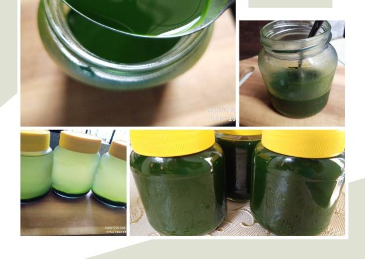Resep 23* Juice Pandan (Jus/ Ekstrak Pandan), Lezat Sekali