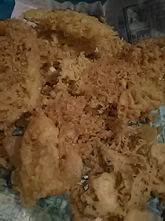 Foto resep Kremes Kriuk