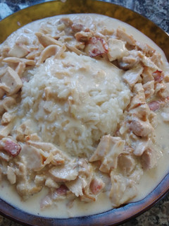Una foto de Strogonof de pollo con arroz frito