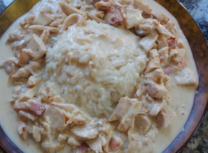 Una foto de Strogonof de pollo con arroz frito