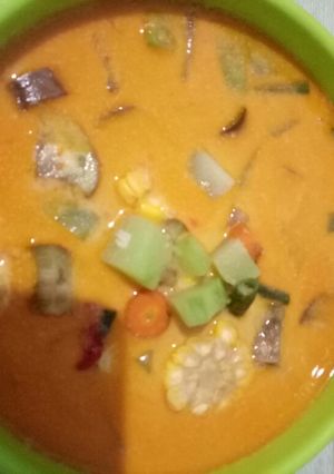 Foto resep Sayur lodeh sederhana
