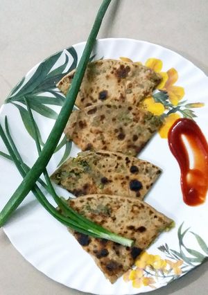 A picture of Spicy sprout moong parantha.
