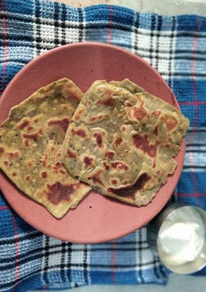 A picture of Onion-Palak Paratha.