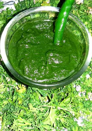 सैंडविच के लिए हरी चटनी (green chutney recipe in Hindi) रेसिपी मुख्य फोटो
