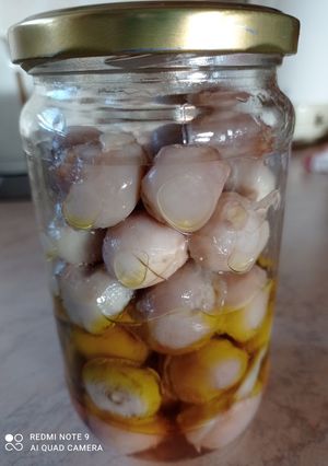 Φωτογραφία της συνταγής Βολβοί ξυδάτοι 😋👌