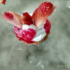 A picture of Fruit tart.