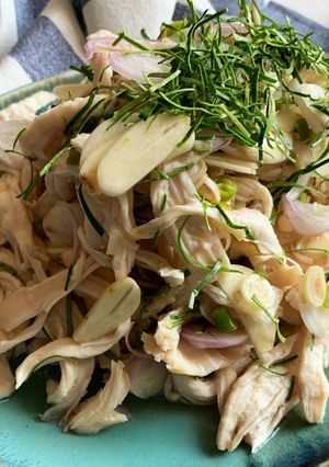 รูปของ พล่าอกไก่