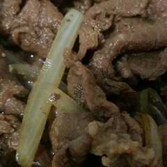 A picture of Original beef bowl ala Yoshinoya (low carb/keto).