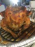 Pollo horneado Sentado