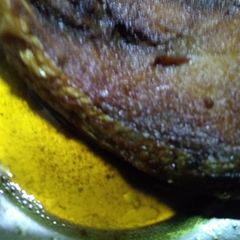 A picture of Mach bhaja.