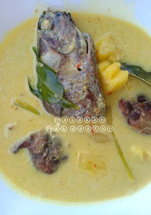 Foto resep Tongkol kuah santan