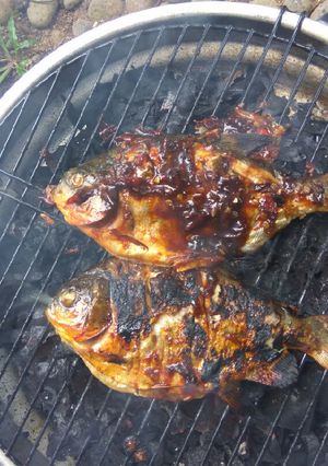 Foto resep Bawal bakar sambal trasi simple..