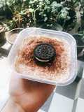 Banoffee Oreo