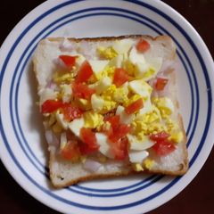 A picture of Open egg sandwich.
