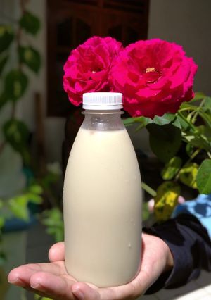 Foto resep Susu kedelai homemade