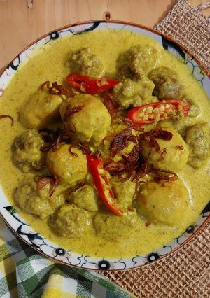 Foto resep Bola-Bola Opor Ayam