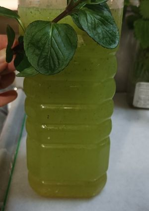 صورة لوصفة عصير بولو