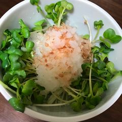A picture of White radish sprout, grated Japanese raddish salad (kaiware,daikonoroshi salad).