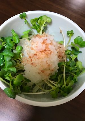 A picture of White radish sprout, grated Japanese raddish salad (kaiware,daikonoroshi salad).