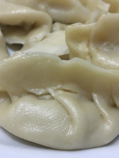 A picture of Chicken adobo dumpling.