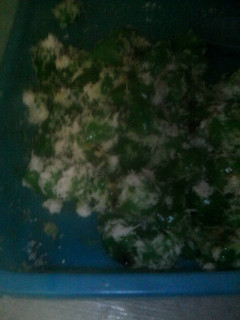 Foto resep Klepon
