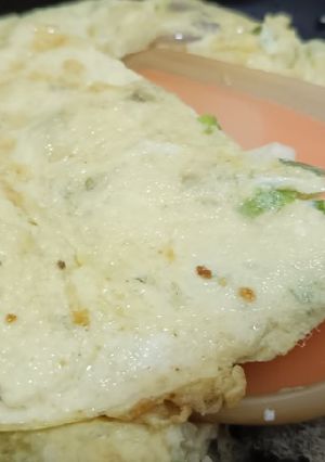 Foto resep Telur Dadar Sederhana