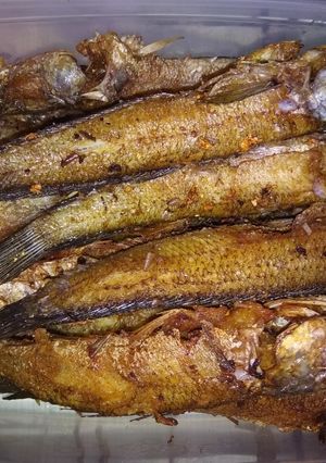 Foto resep Ikan gabus kecil goreng