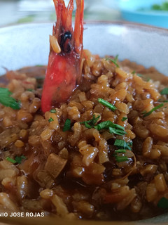 Una foto de Meloso con gambas rojas de la Ametlla