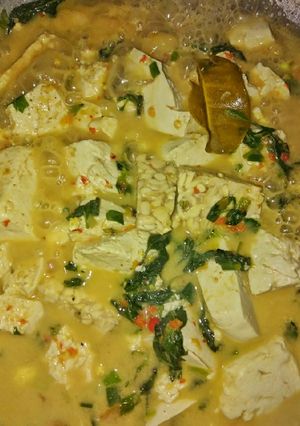Foto resep Lodeh Tahu Tempe Kemangi