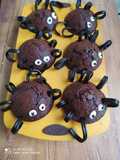 Muffin/Ragni