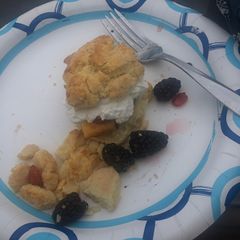 Mixed fruit shortcakes A picture of Mixed fruit shortcakes.