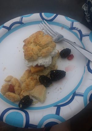 A picture of Mixed fruit shortcakes.