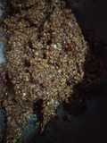 Sambel pecel