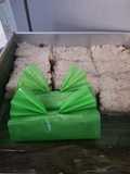 Lemper Abon