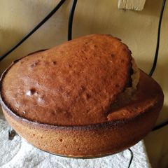 A picture of Vinegar Cake.