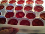 Gelatinas ricas!!!!!