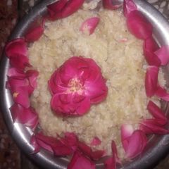 A picture of Bottle gourd (lauki ka halwa).