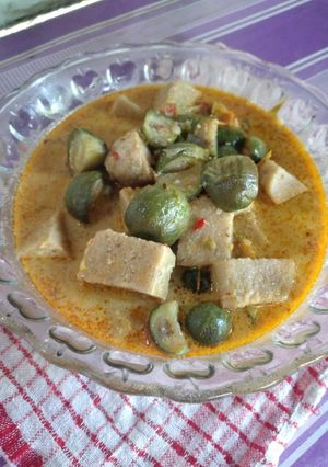 Foto resep Sayur terong bundar & tempe gembus