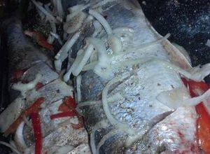 Anchoas al horno 🐟 Una foto de Anchoas al horno 🐟