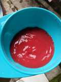 Pure jambu biji merah 6m