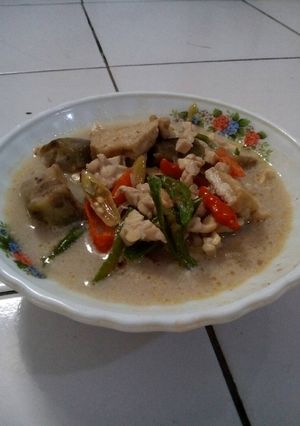 Foto resep Sayur lodeh tahu tempe ndeso (takaran sesuai selera ya)