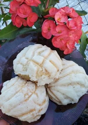 Una foto de Conchas