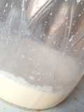Homemade yoghurt