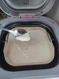Homemade Yogurt
