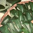 Lapek Pisang Padang