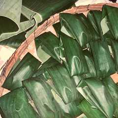 รูปของ Lapek Pisang Padang