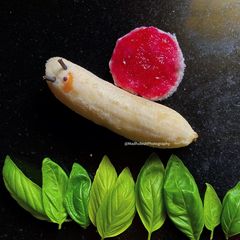 Fruit Snail A picture of Fruit Snail.
