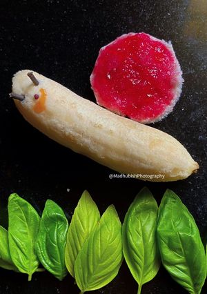 A picture of Fruit Snail.