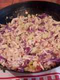 Pollo desmenuzado vistoso