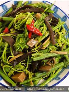黑木耳辣炒龍鬚菜.柯媽媽の植物燕窩 的食譜成品照片
